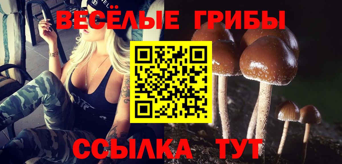 Галлюциногенные грибы GOLDEN TEACHER  Вход с VPN  Нижнеудинск 